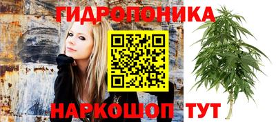 ГАЛЛЮЦИНОГЕННЫЕ ГРИБЫ Краснокаменск