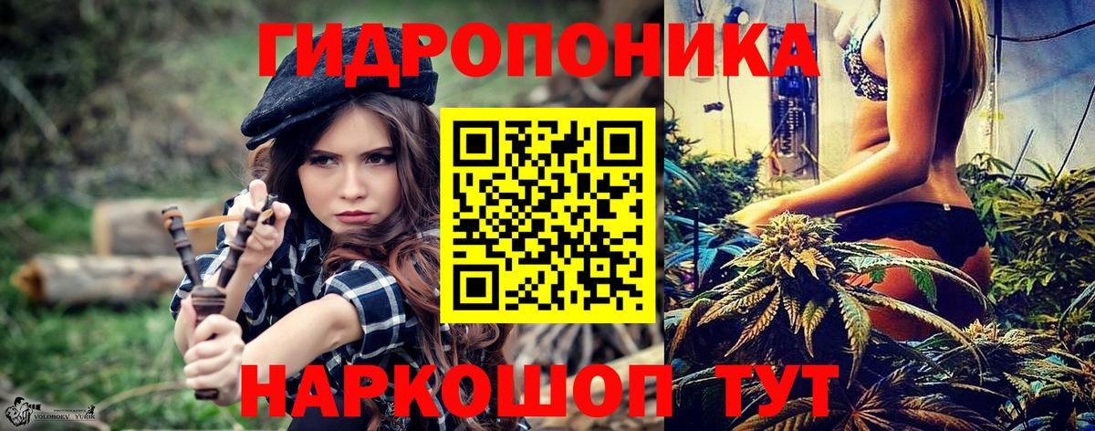 Бошки Шишки сатива Ефремов